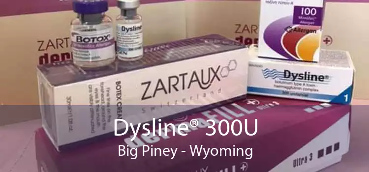 Dysline® 300U Big Piney - Wyoming