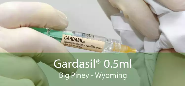 Gardasil® 0.5ml Big Piney - Wyoming