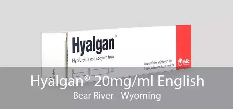 Hyalgan® 20mg/ml English Bear River - Wyoming