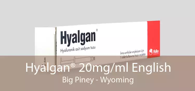 Hyalgan® 20mg/ml English Big Piney - Wyoming