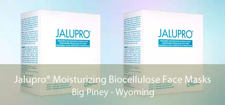 Jalupro® Moisturizing Biocellulose Face Masks Big Piney - Wyoming