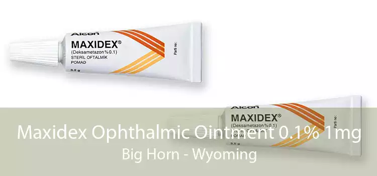 Maxidex Ophthalmic Ointment 0.1% 1mg Big Horn - Wyoming