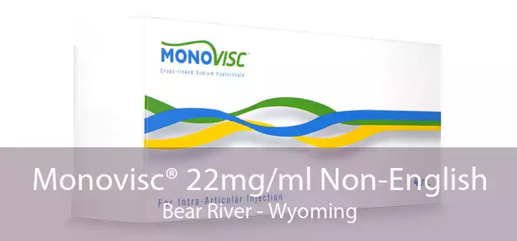 Monovisc® 22mg/ml Non-English Bear River - Wyoming