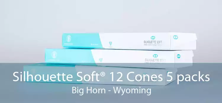 Silhouette Soft® 12 Cones 5 packs Big Horn - Wyoming