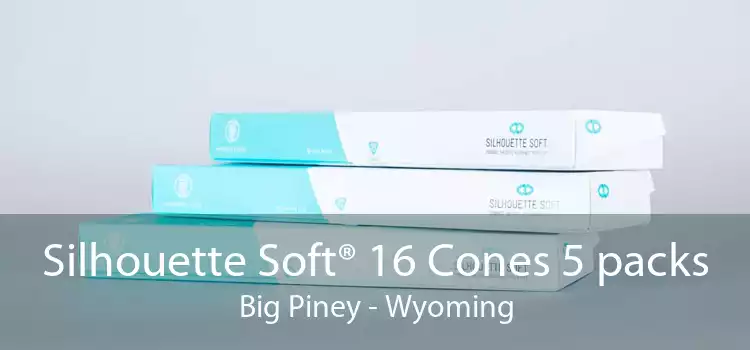 Silhouette Soft® 16 Cones 5 packs Big Piney - Wyoming