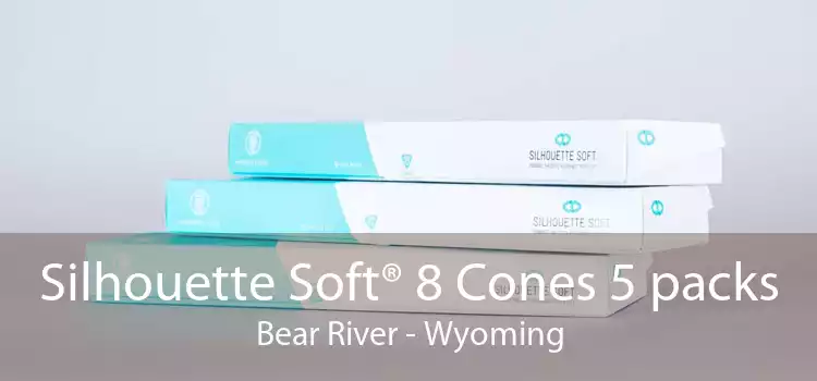 Silhouette Soft® 8 Cones 5 packs Bear River - Wyoming