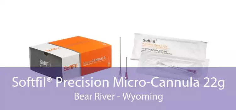 Softfil® Precision Micro-Cannula 22g Bear River - Wyoming