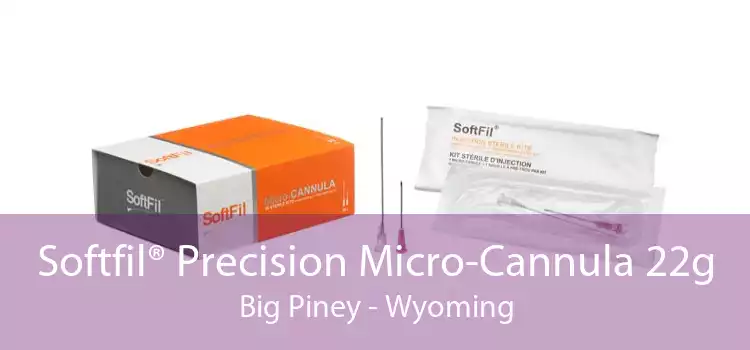 Softfil® Precision Micro-Cannula 22g Big Piney - Wyoming