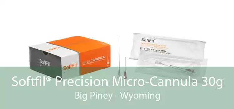 Softfil® Precision Micro-Cannula 30g Big Piney - Wyoming