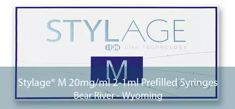 Stylage® M 20mg/ml 2-1ml Prefilled Syringes Bear River - Wyoming