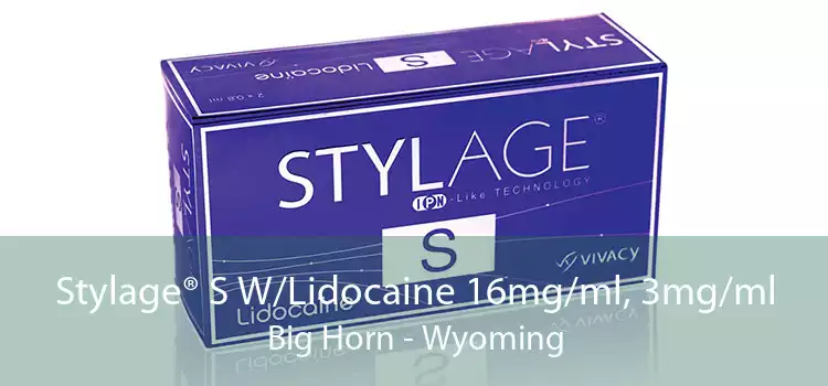 Stylage® S W/Lidocaine 16mg/ml, 3mg/ml Big Horn - Wyoming