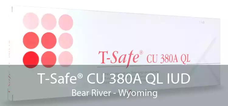 T-Safe® CU 380A QL IUD Bear River - Wyoming