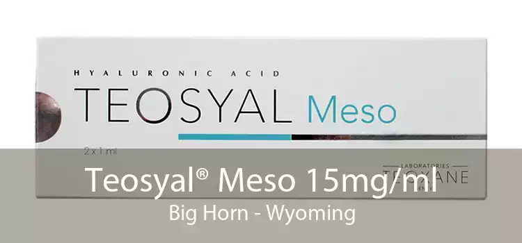 Teosyal® Meso 15mg/ml Big Horn - Wyoming
