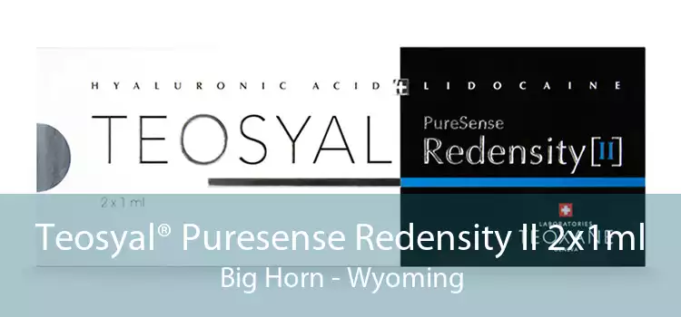 Teosyal® Puresense Redensity II 2x1ml Big Horn - Wyoming