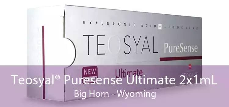 Teosyal® Puresense Ultimate 2x1mL Big Horn - Wyoming