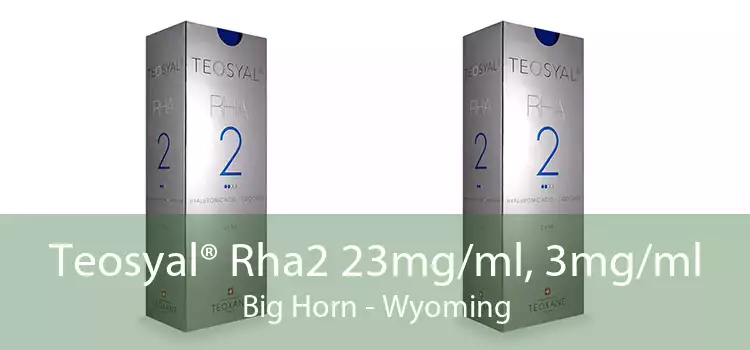Teosyal® Rha2 23mg/ml, 3mg/ml Big Horn - Wyoming
