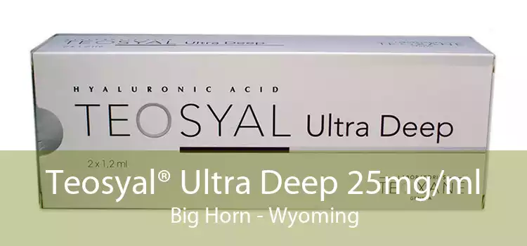Teosyal® Ultra Deep 25mg/ml Big Horn - Wyoming